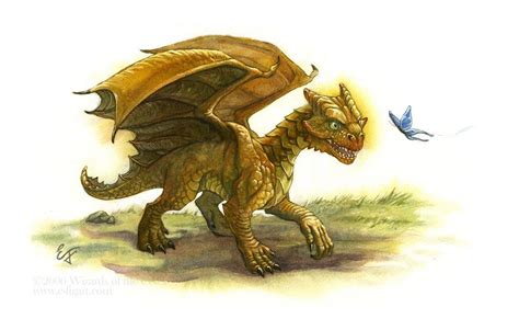 Copper Dragon Wyrmling | Blue dragon, Dungeons and dragons art, Fantasy ...