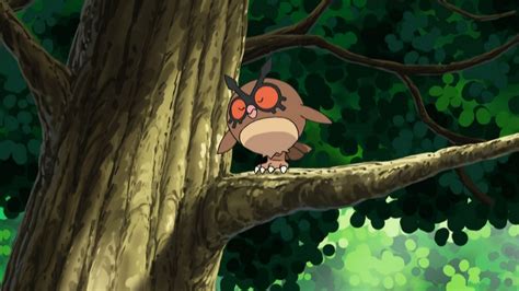 Can Hoothoot be shiny in Pokemon GO? (December 2022)