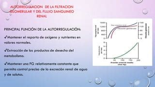 Filtracion Glomerular Pdf