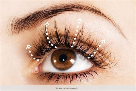 Argan Oil Eyelashes Treatment This Magical Oil Can Help Your Eyelashes Grow