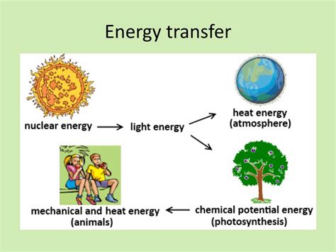 PPT - Photosynthesis and Energy for Life PowerPoint Presentation, free ...