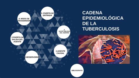 Cadena Epidemiológica de la tuberculosis by Madeline Moreno on Prezi