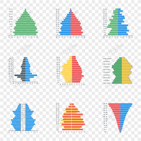 Population Pyramid PNG Images With Transparent Background | Free Download On Lovepik