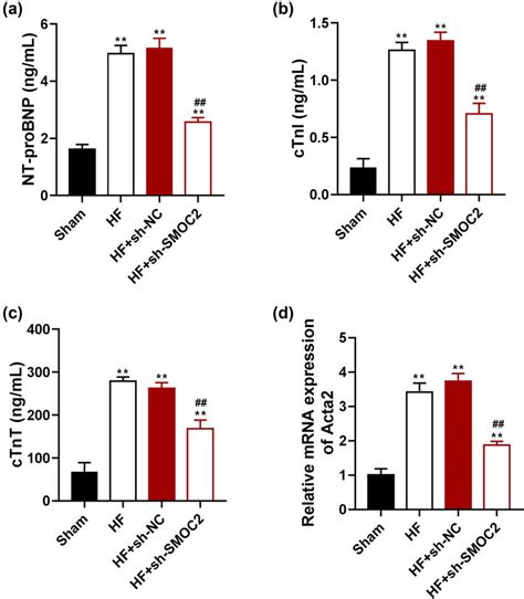 Downregulation Of SMOC2 Alleviated Myocardial Injury In HF Rats