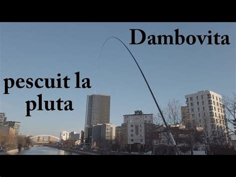 PESCUIT La PLUTA Pe Dambovita YouTube