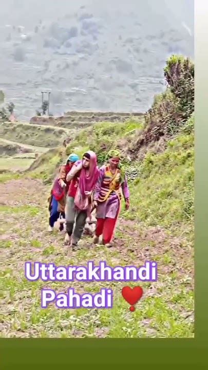 Uttarakhandi आज कल खेतो का काम 😂 गांव में देवभूमिदर्शन ♥️ रूपकुंड