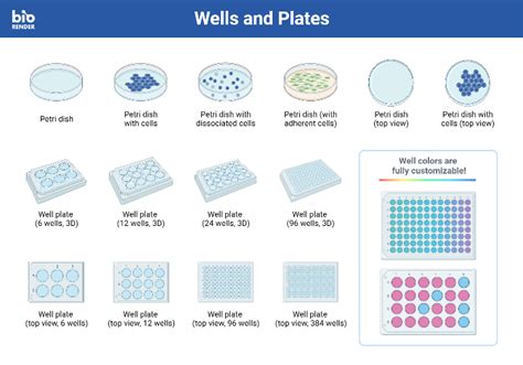 Icon Pack Wells And Plates BioRender Science Templates