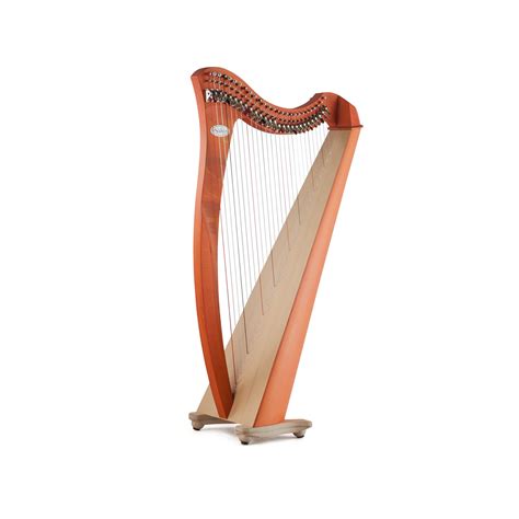 Salvi Harps For Sale (rent to own and financing options available for ...