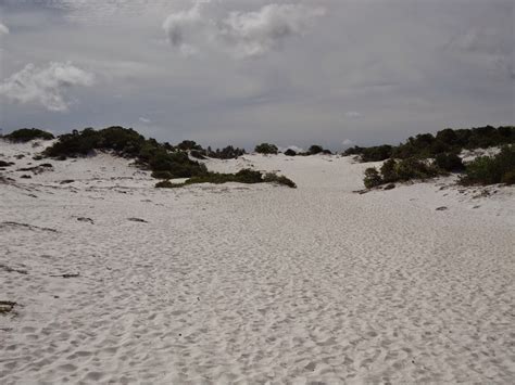 Praia Santo Ant Nio Do Diogo Litoral Norte Da Bahia Vaneza Z