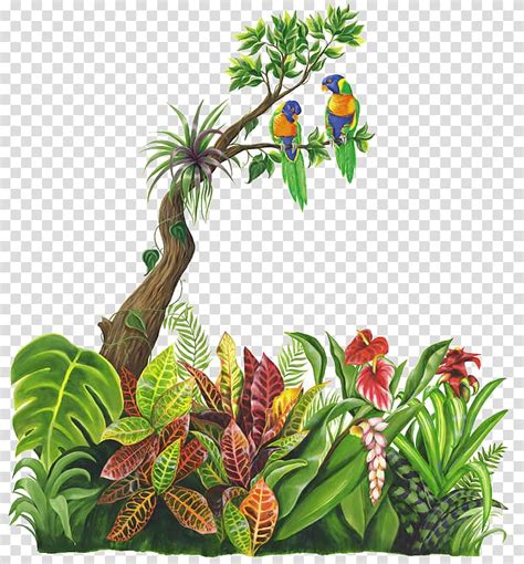 Rainforest Plants Clip Art