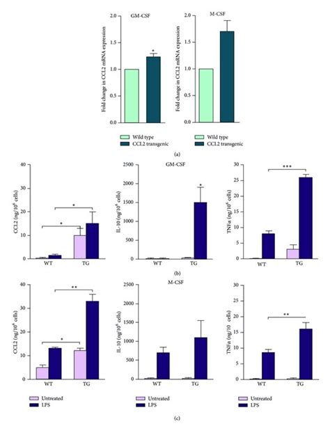 The Relative Ccl Mrna Expression A And The Secretion In Supernatants