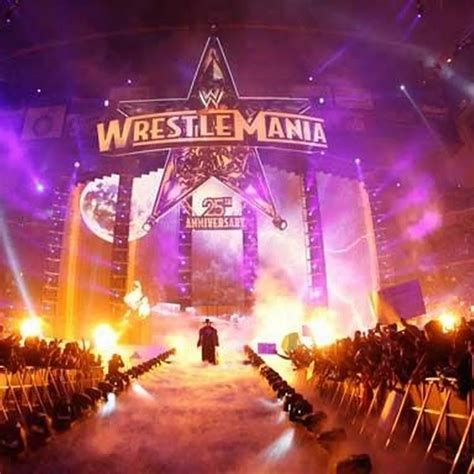 Wwe Wrestlemania 25 Stage