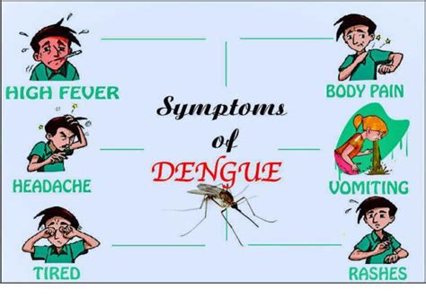 KEDAI BULOH SECONDARY SCHOOL DENGUE PATROL: Symptoms Of Dengue