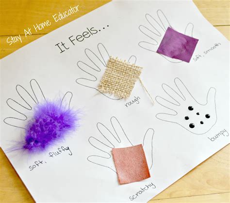 Five Senses Preschool Lesson Plan Teaching Treasure