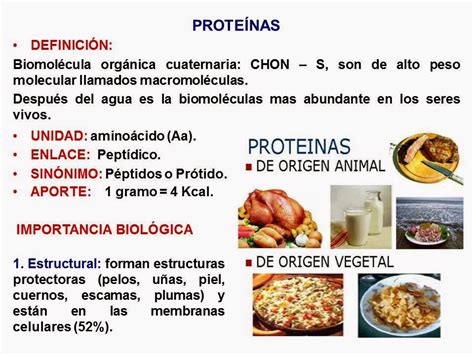 Biología Didáctica Nsc 4° Las Proteínas