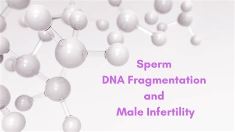 Sperm Dna Fragmentation And Male Infertility Youtube