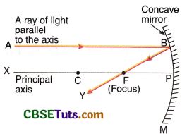 Rules And Formation Of Image By A Concave Mirror CBSE Tuts