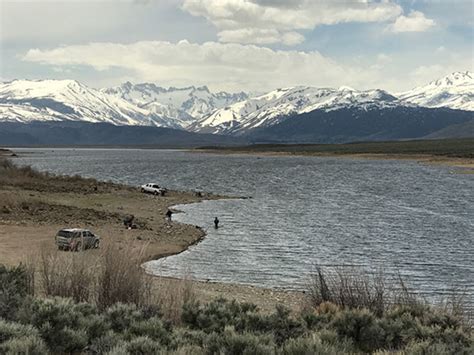 Bridgeport Reservoir - Fish Reports & Map