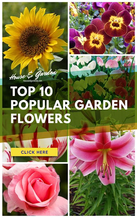 23+ Outstanding Flower Garden Ideas (How to Plan for Beginner & Popular ...