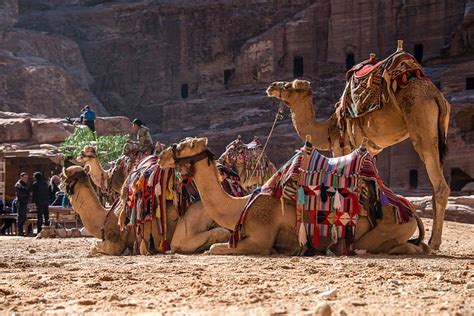 A 12 Day Pilgrimage To The Holy Land Jordan Catholic Pilgrimages