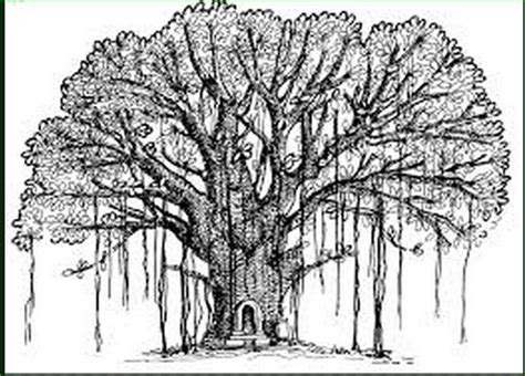 Banyan Tree Drawing at PaintingValley.com | Explore collection of Banyan Tree Drawing