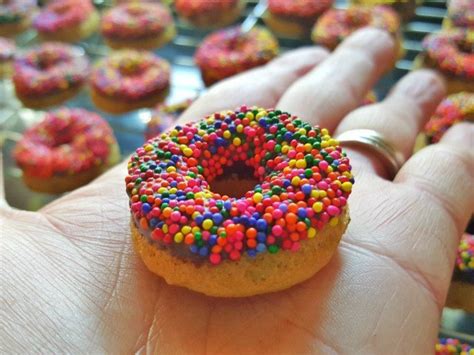 Homemade Donuts With Chocolate Frosting And Sprinkles