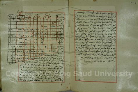 مخطوطات فتح القريب المجيب بشرح كتاب الترتيب لسبط المارديني الصفحة رقم 195