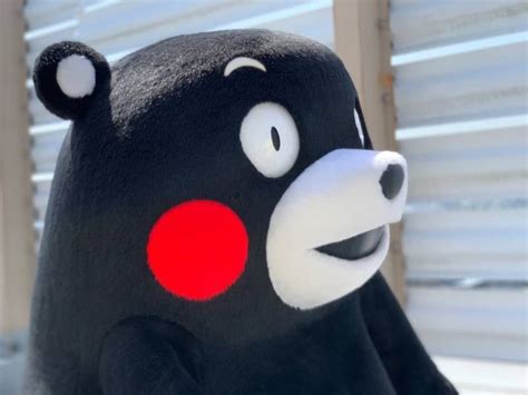 On Twitter Rt Kumamon