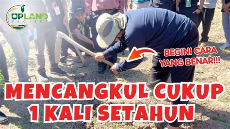 Petani Harus Tau Cara Ini Cara Mengolah Lahan Tandus Menjadi Subur