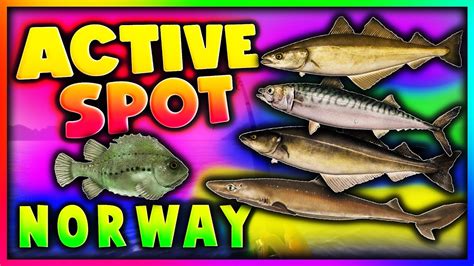 Russian Fishing 4 🎣 ACTIVE NORWAY SPOT w/ STRONG PIRKING 🐟 - YouTube
