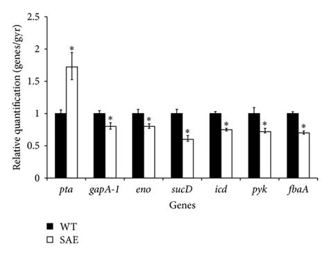 Quantitative Transcript Analysis Of Glucose Metabolism Related Gene