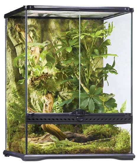 Vivarium Nos Produits Et Conseils Pour Satisfaire Vos Animaux