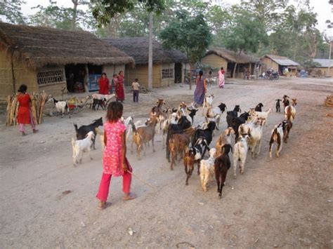 Bardiya National Park In Nepal A Travel Guide Backpack Adventures