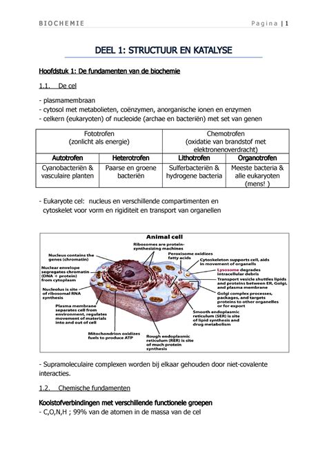 Biochemie Les Aantekeningen Biochemie Pagina Deel Structuur En