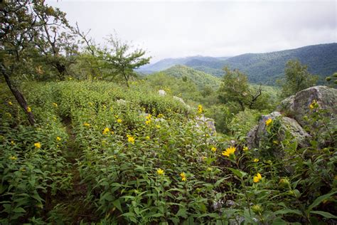 Hiking Map For Caney Creek And Buckeye Mountain Loop