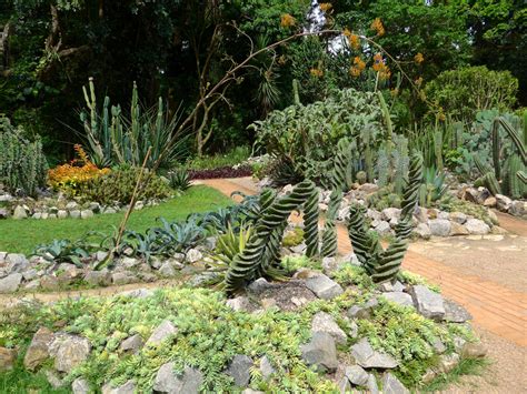 Exploring the Botanical Garden & Rainforest, Rio de Janeiro