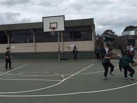 The Dv Schools Program Bounces Into Epping Views Primary Diamond