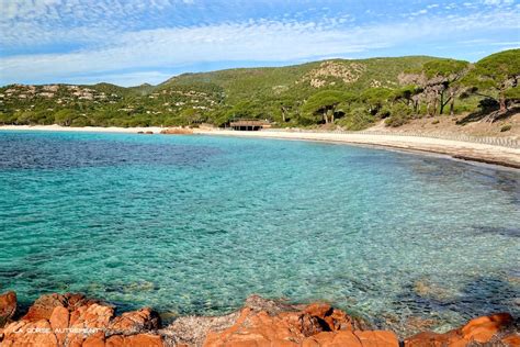 La Plage De Palombaggia En Corse Porto Vecchio