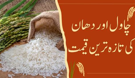 Today Rice Price In Pakistan Basmati Rice Kainat Rice