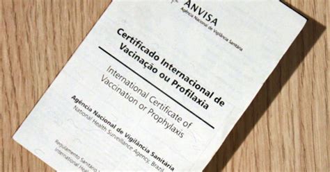 Carteira De Vacina O Internacional Para Que Serve E Como Emitir Online