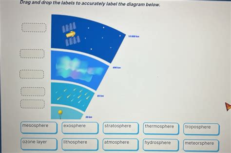 Solved: Drag and drop the labels to accurately label the diagram below ...