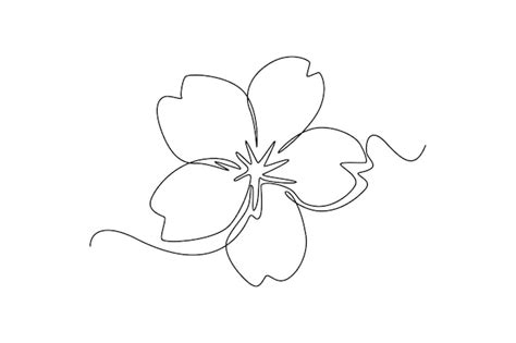 Dessin D Une Seule Ligne Fleur De Fleur Sakura Concept De Fleur De