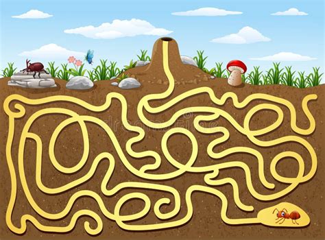 Vector Maze Game With Find Ant Room Stock Vector Illustration Of