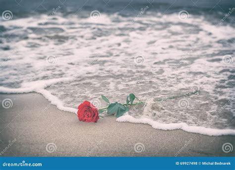 Waves Washing Away A Red Rose From The Beach Vintage Love Stock Photo