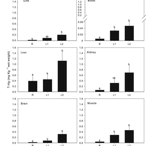 T Hg Mean Concentration Mg Kg 1 Wet Weight In Tissues Of D Labrax Download Scientific