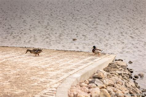 W okolicach zbiornika wodnego na Potoku Północnym powstały ławki FOTO