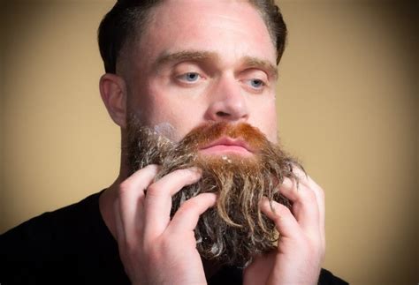 4 Easy Steps To Fix A Curly Beard Mo Bros Beard Care Mo Bros