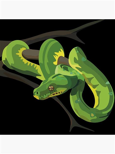 "Green Tree Python - Digital Art" Poster for Sale by TLGdrawings ...