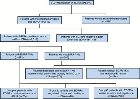 The Schema For Patient Screening Egfrm Egfr Mutation Ctdna