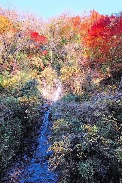 養老渓谷の紅葉